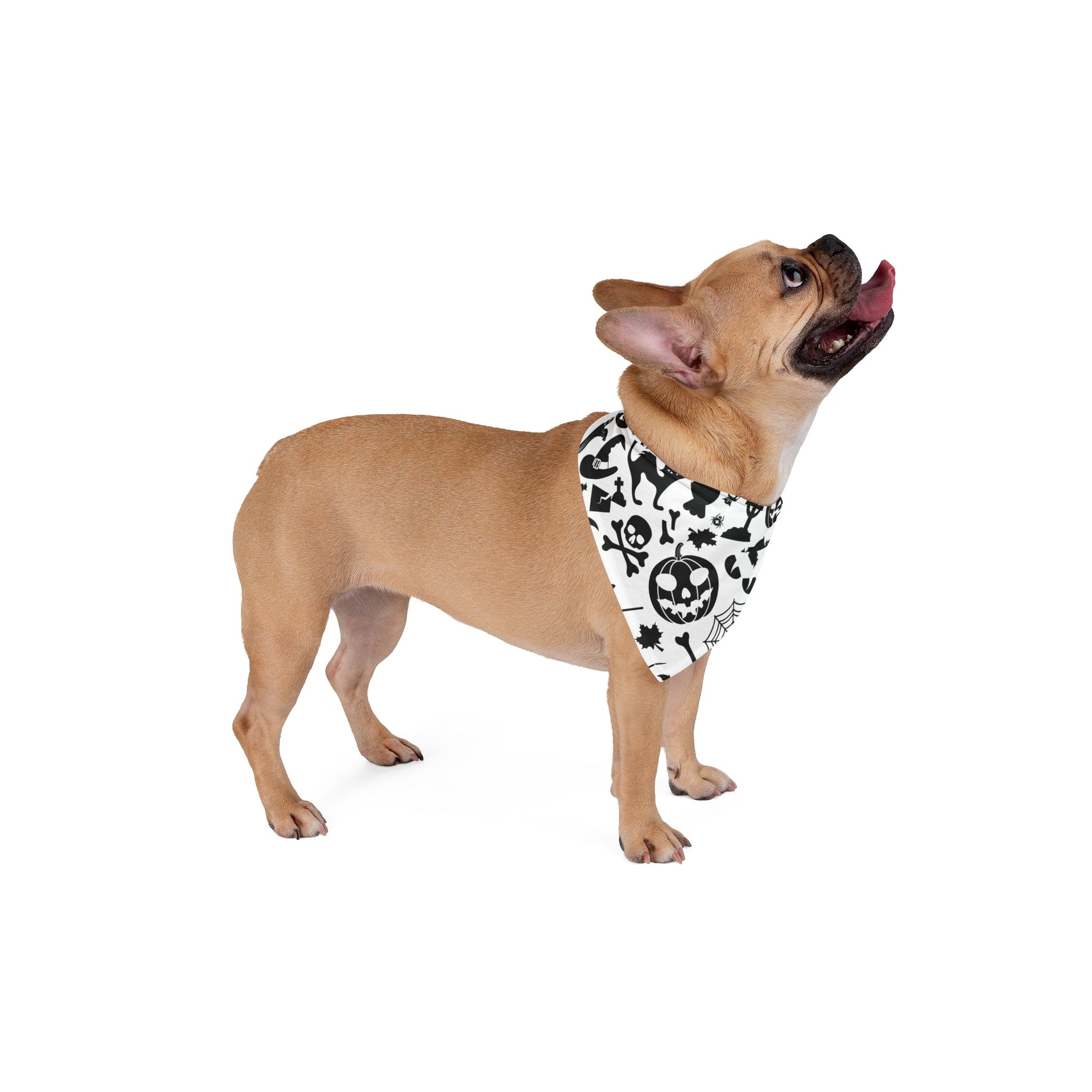 Halloween Pet Bandana - BRAZEN BUY thsirt shirt